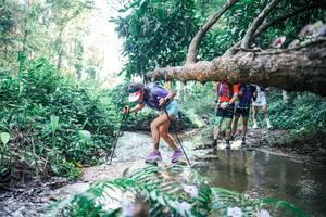 BIB: 
                            <button type="button" onclick="openModal(25439223)" class="btn btn-primary btn-sm float-right btn-popup" data-toggle="modal" data-target=".modal-high-quality">
                        <i class="fas fa-shopping-cart"></i> Add to Cart
                    </button>
                                            <button type="button" onclick="isThisMe(25439223, true)" class="btn btn-success btn-sm float-right btn-popup btn-isme hidden" data-toggle="tooltip" data-placement="bottom" title="นี่คือรูปของคุณใช่ไหม คลิกที่นี่เพื่อเอาเข้าอัลบั้ม">
                        <i class="fas fa-plus"></i> Add to album
                    </button>
                    <button type="button" onclick="isThisMe(25439223, false)" class="btn btn-warning btn-sm float-right btn-popup btn-isnotme hidden">
                        <i class="fas fa-ban"></i> Remove from album
                    </button>